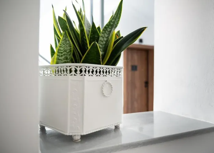 Kensho Haven Of Rest Lejlighed