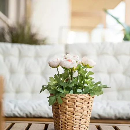 Kensho Haven Of Rest * Kalamata