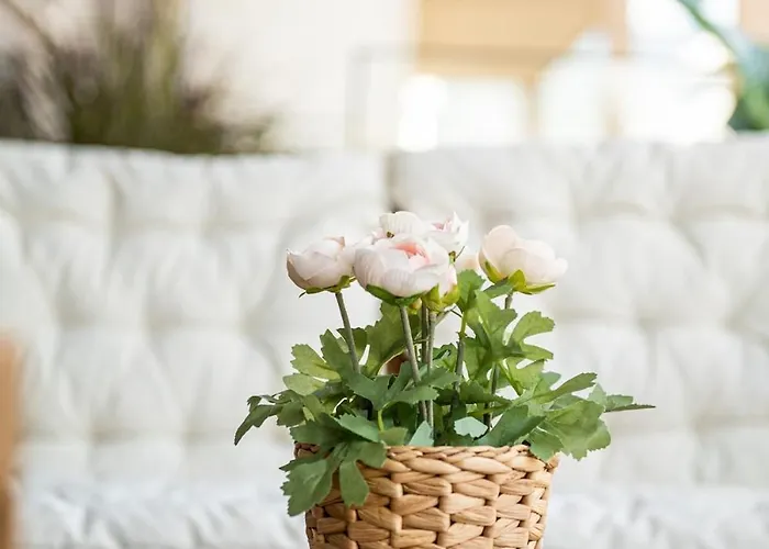 Kensho Haven Of Rest * Kalamata